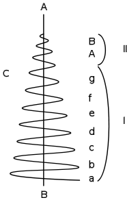 1923-11-11-19_fig2.png