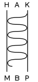 1924-01-13-19_fig1.png